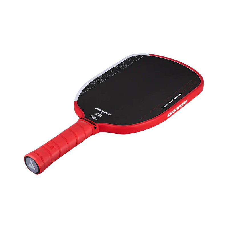 JOOLA Raquette Pickleball Agassi Pro IV 16